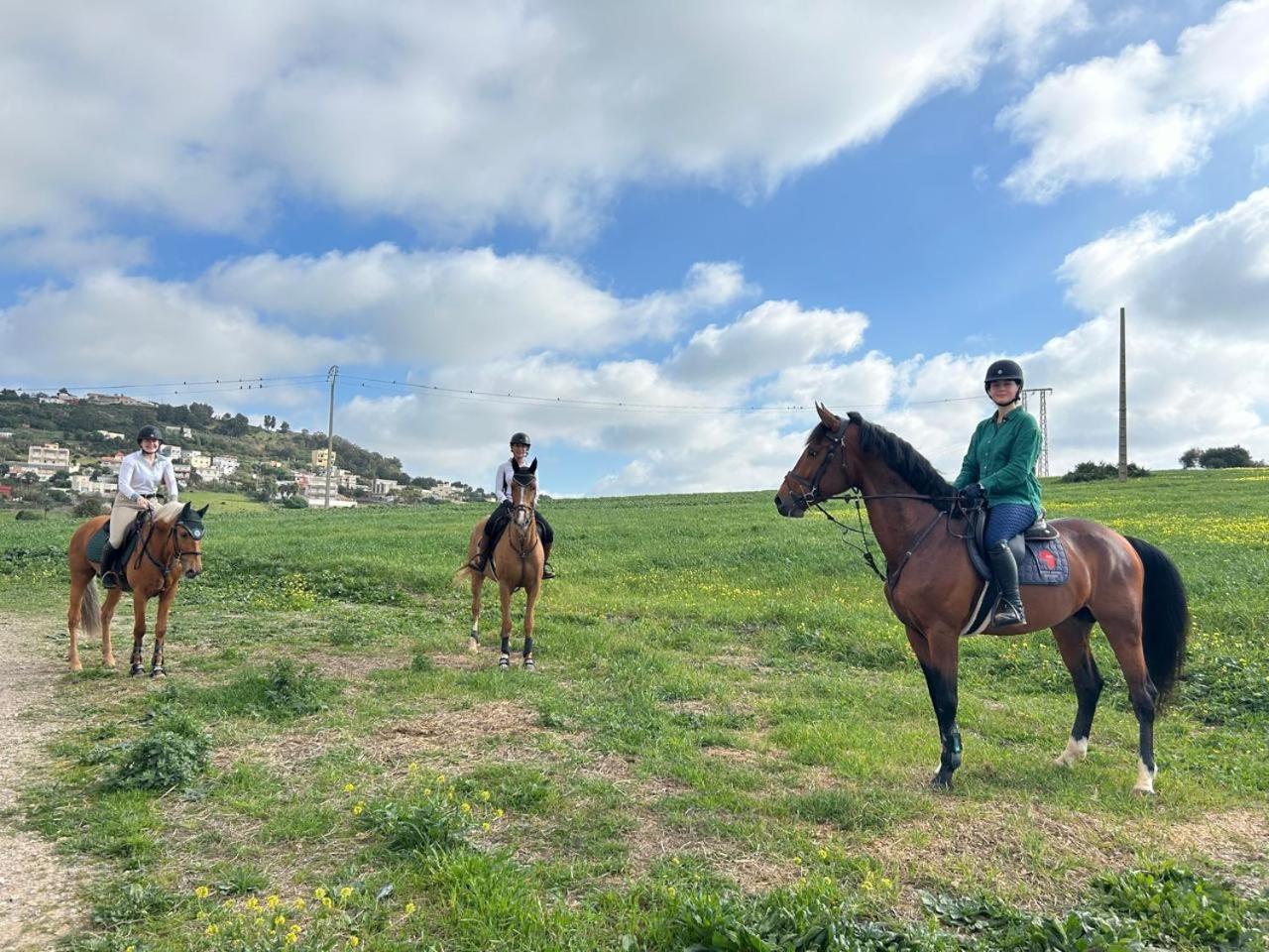 Farm stay Royal Club Equestre Detroit